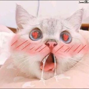 Meet your Posher, Bryant